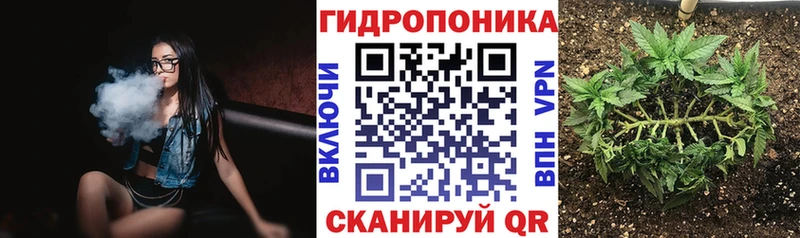Сколько стоит Никольск Гашиш  Cocaine  А ПВП  MDMA  Мефедрон 