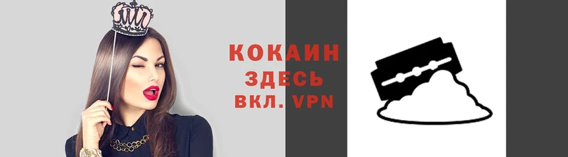 дурь Гусев