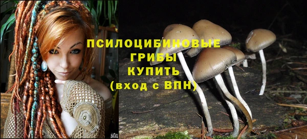 ешки Саяногорск